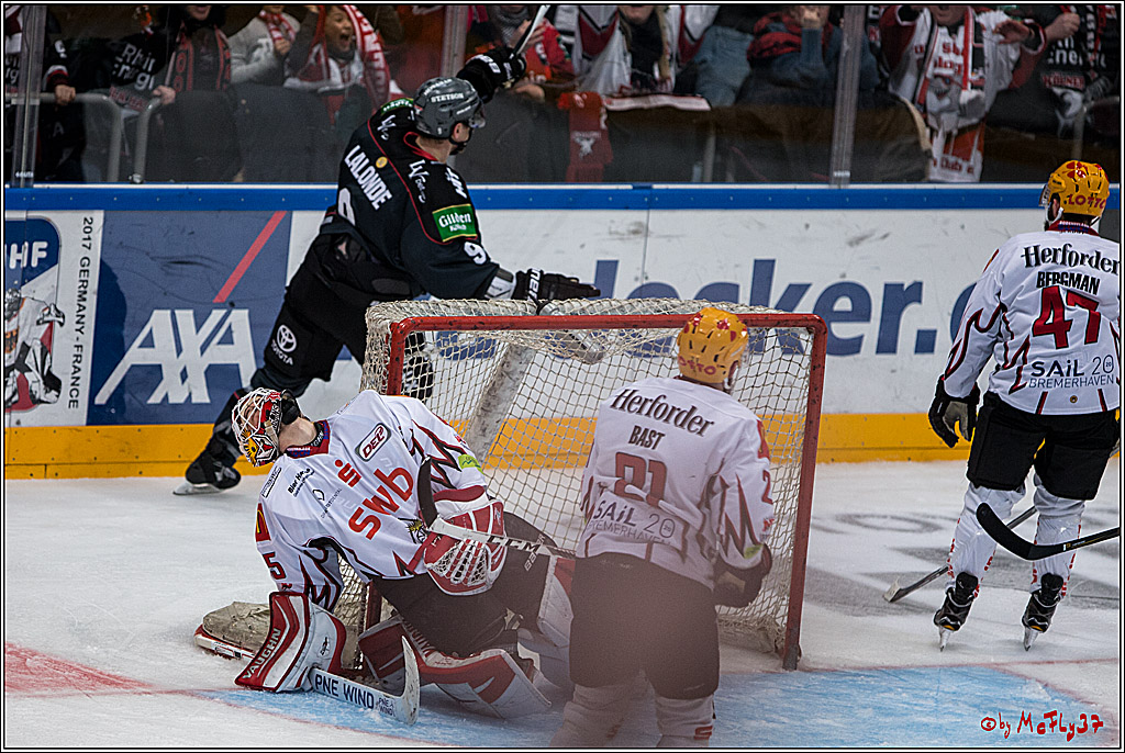 DEL, Koelner Haie - Fishtown Pinguins Bremerhaven, 29.01.2017